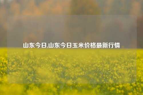 山东今日,山东今日玉米价格最新行情