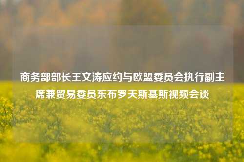 商务部部长王文涛应约与欧盟委员会执行副主席兼贸易委员东布罗夫斯基斯视频会谈