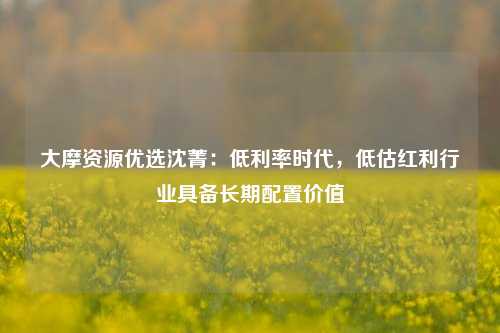 大摩资源优选沈菁：低利率时代，低估红利行业具备长期配置价值