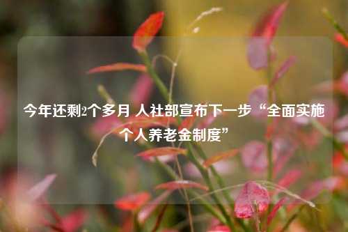 今年还剩2个多月 人社部宣布下一步“全面实施个人养老金制度”