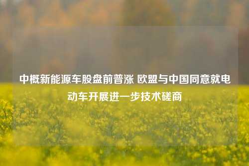 中概新能源车股盘前普涨 欧盟与中国同意就电动车开展进一步技术磋商