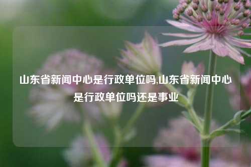 山东省新闻中心是行政单位吗,山东省新闻中心是行政单位吗还是事业