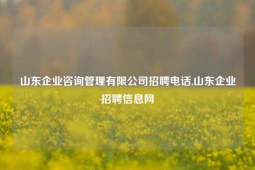 山东企业咨询管理有限公司招聘电话,山东企业招聘信息网