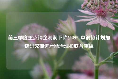 前三季度重点钢企利润下降56.39% 中钢协计划加快研究推进产能治理和联合重组