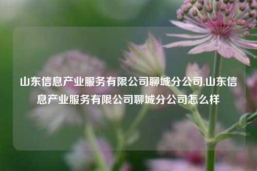 山东信息产业服务有限公司聊城分公司,山东信息产业服务有限公司聊城分公司怎么样