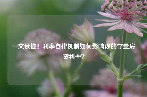 一文读懂！利率自律机制如何影响你的存量房贷利率？