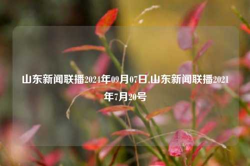 山东新闻联播2024年09月07日,山东新闻联播2021年7月20号