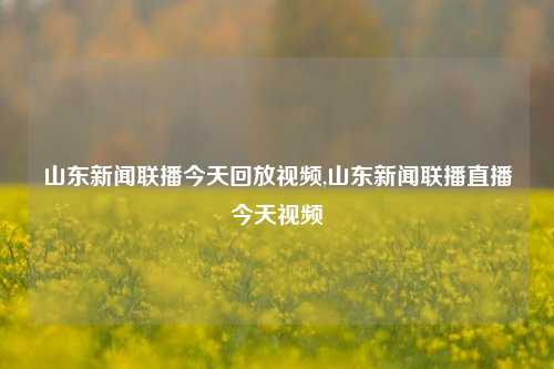 山东新闻联播今天回放视频,山东新闻联播直播今天视频