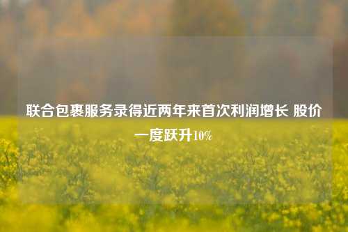 联合包裹服务录得近两年来首次利润增长 股价一度跃升10%