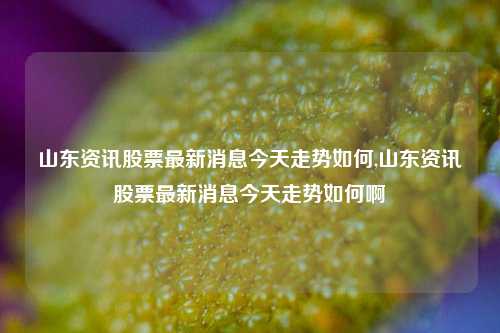 山东资讯股票最新消息今天走势如何,山东资讯股票最新消息今天走势如何啊