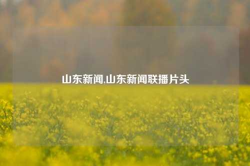 山东新闻,山东新闻联播片头