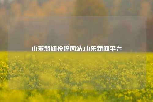 山东新闻投稿网站,山东新闻平台