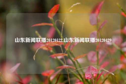 山东新闻联播20120122,山东新闻联播20120429