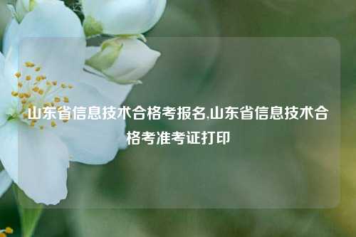 山东省信息技术合格考报名,山东省信息技术合格考准考证打印