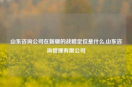 山东咨询公司在新疆的战略定位是什么,山东咨询管理有限公司