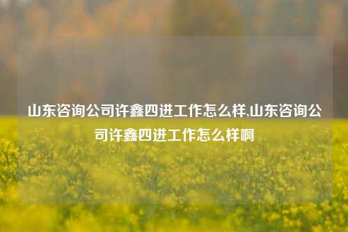 山东咨询公司许鑫四进工作怎么样,山东咨询公司许鑫四进工作怎么样啊