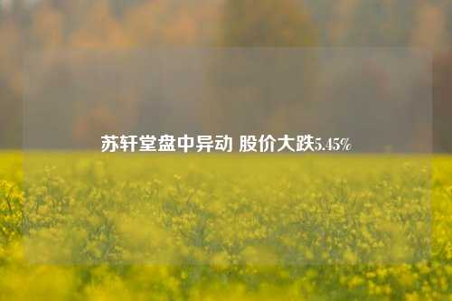 苏轩堂盘中异动 股价大跌5.45%