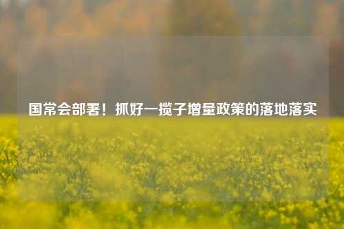 国常会部署！抓好一揽子增量政策的落地落实