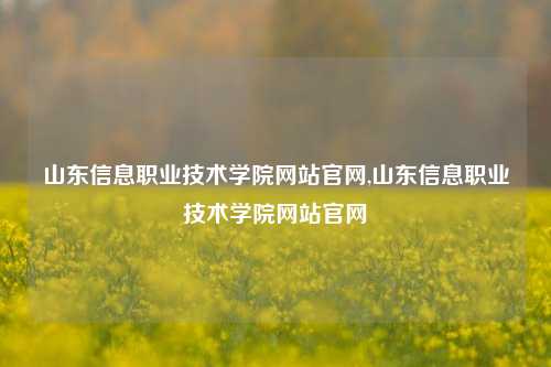 山东信息职业技术学院网站官网,山东信息职业技术学院网站官网