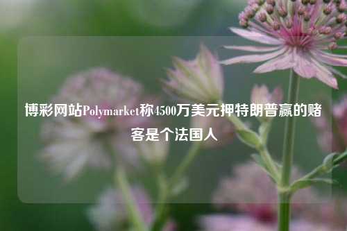 博彩网站Polymarket称4500万美元押特朗普赢的赌客是个法国人