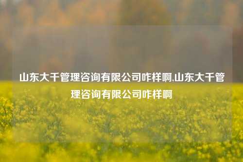 山东大千管理咨询有限公司咋样啊,山东大千管理咨询有限公司咋样啊