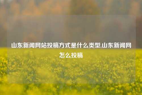 山东新闻网站投稿方式是什么类型,山东新闻网怎么投稿