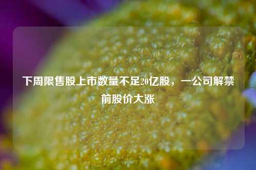 下周限售股上市数量不足20亿股，一公司解禁前股价大涨