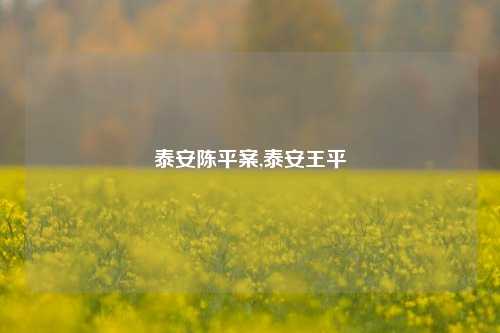 泰安陈平案,泰安王平