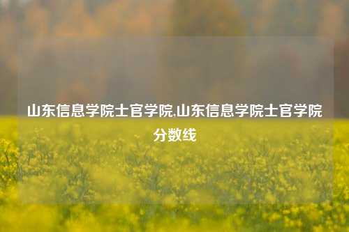 山东信息学院士官学院,山东信息学院士官学院分数线