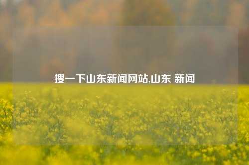 搜一下山东新闻网站,山东 新闻