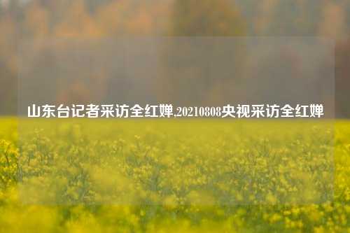 山东台记者采访全红婵,20210808央视采访全红婵