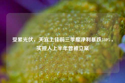 受累光伏，天宜上佳前三季度净利暴跌340%，实控人上半年曾被立案