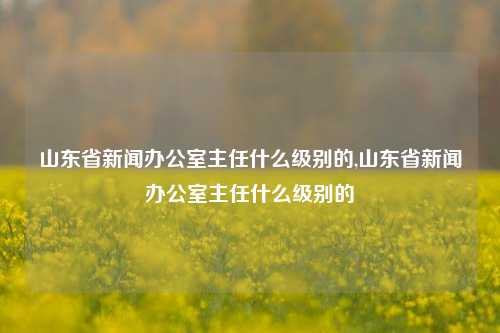 山东省新闻办公室主任什么级别的,山东省新闻办公室主任什么级别的