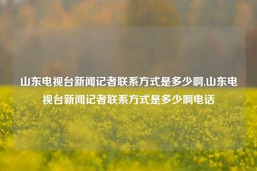 山东电视台新闻记者联系方式是多少啊,山东电视台新闻记者联系方式是多少啊电话