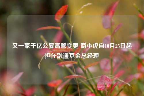 又一家千亿公募高管变更 商小虎自10月25日起担任融通基金总经理