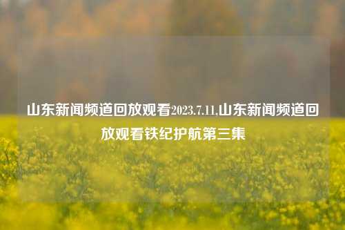 山东新闻频道回放观看2023.7.11,山东新闻频道回放观看铁纪护航第三集