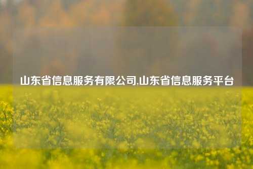 山东省信息服务有限公司,山东省信息服务平台