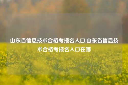 山东省信息技术合格考报名入口,山东省信息技术合格考报名入口在哪