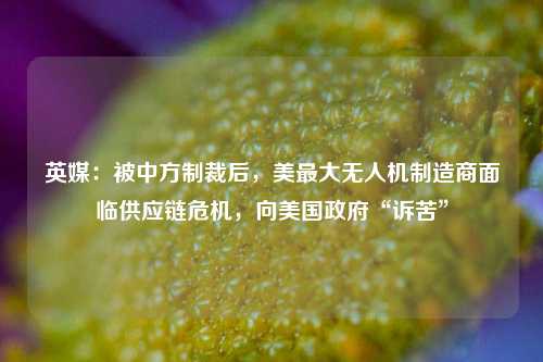 英媒：被中方制裁后，美最大无人机制造商面临供应链危机，向美国政府“诉苦”