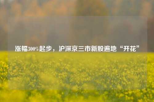 涨幅300%起步，沪深京三市新股遍地“开花”