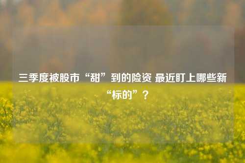 三季度被股市“甜”到的险资 最近盯上哪些新“标的”？