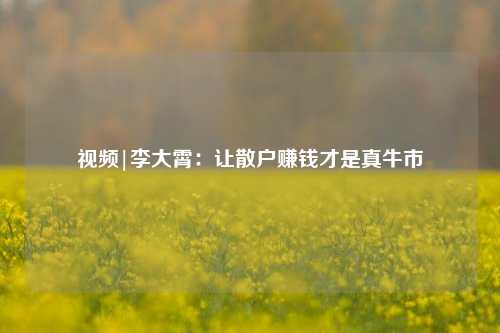 视频|李大霄：让散户赚钱才是真牛市