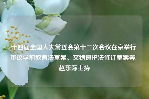 十四届全国人大常委会第十二次会议在京举行 审议学前教育法草案、文物保护法修订草案等  赵乐际主持