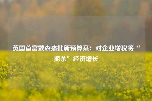 英国首富戴森痛批新预算案：对企业增税将“扼杀”经济增长