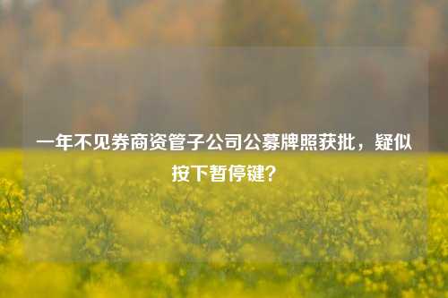 一年不见券商资管子公司公募牌照获批，疑似按下暂停键？