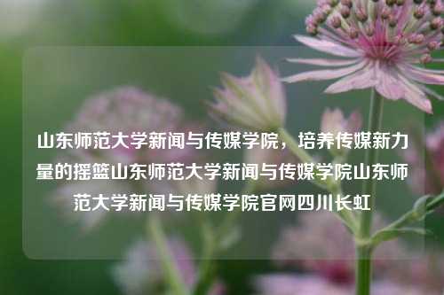 山东师范大学新闻与传媒学院，培养传媒新力量的摇篮山东师范大学新闻与传媒学院山东师范大学新闻与传媒学院官网四川长虹