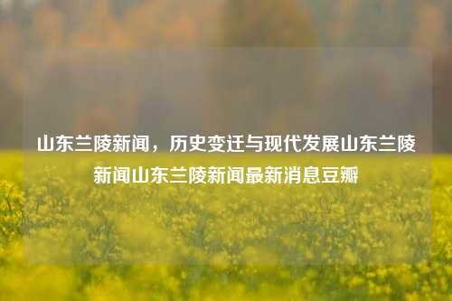 山东兰陵新闻，历史变迁与现代发展山东兰陵新闻山东兰陵新闻最新消息豆瓣