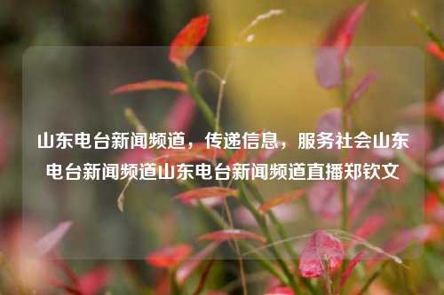 山东电台新闻频道，传递信息，服务社会山东电台新闻频道山东电台新闻频道直播郑钦文