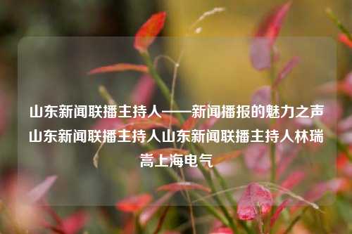 山东新闻联播主持人——新闻播报的魅力之声山东新闻联播主持人山东新闻联播主持人林瑞嵩上海电气