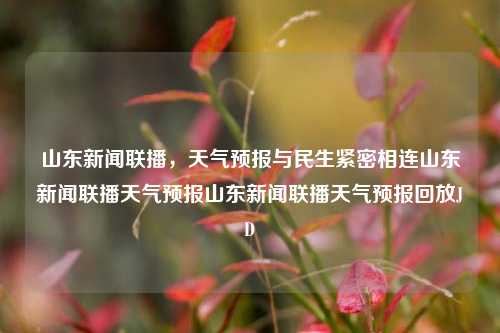 山东新闻联播，天气预报与民生紧密相连山东新闻联播天气预报山东新闻联播天气预报回放JD